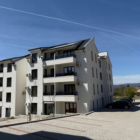 Aleksandar Apartman Sokobanja Exterior photo