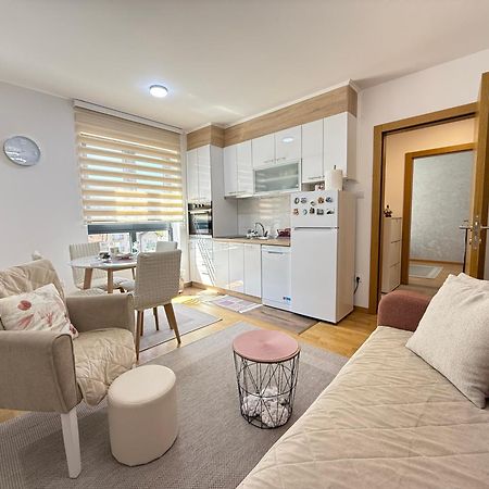 Aleksandar Apartman Sokobanja Exterior photo