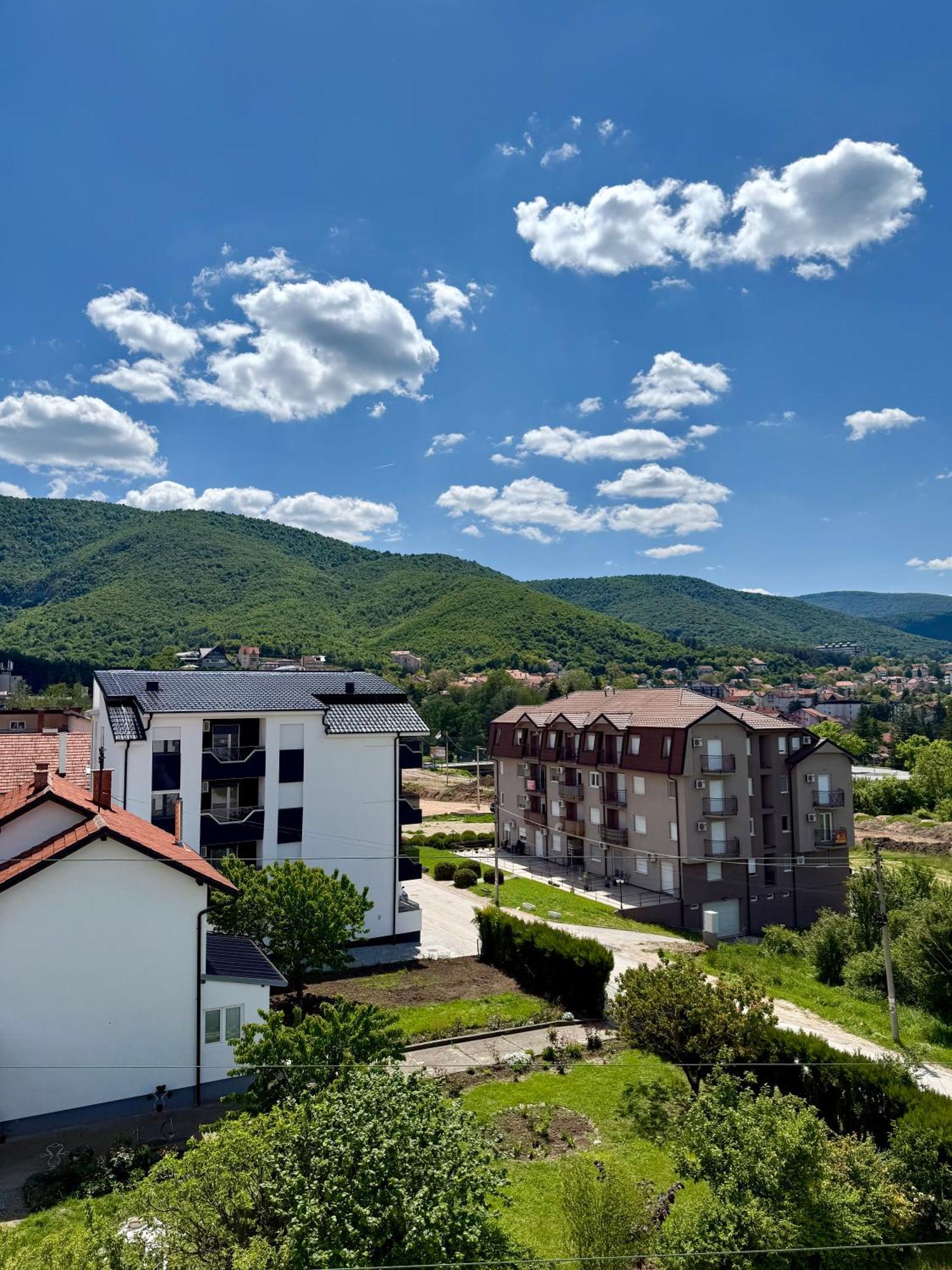 Aleksandar Apartman Sokobanja Exterior photo